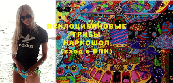 прущие грибы Протвино