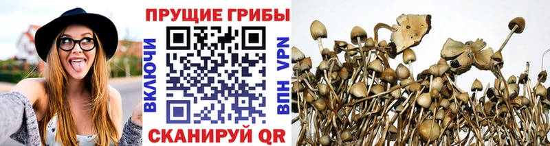 Псилоцибиновые грибы прущие грибы  kraken ТОР  Красновишерск 